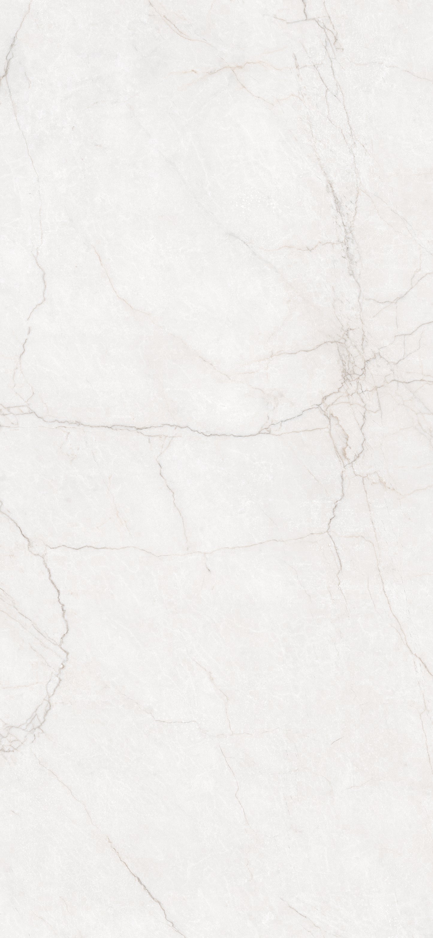 AZUVI Class Bianco XXL