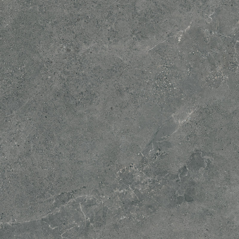 PARADYZ Authority Graphite