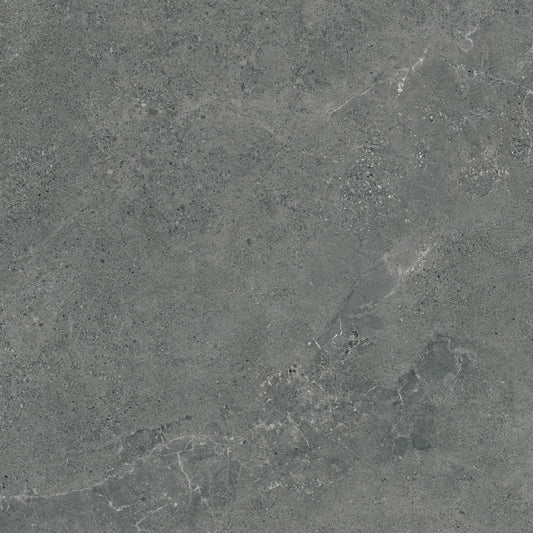 PARADYZ Authority Graphite